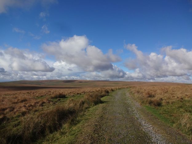 The path on the Two Moors Way Devon
